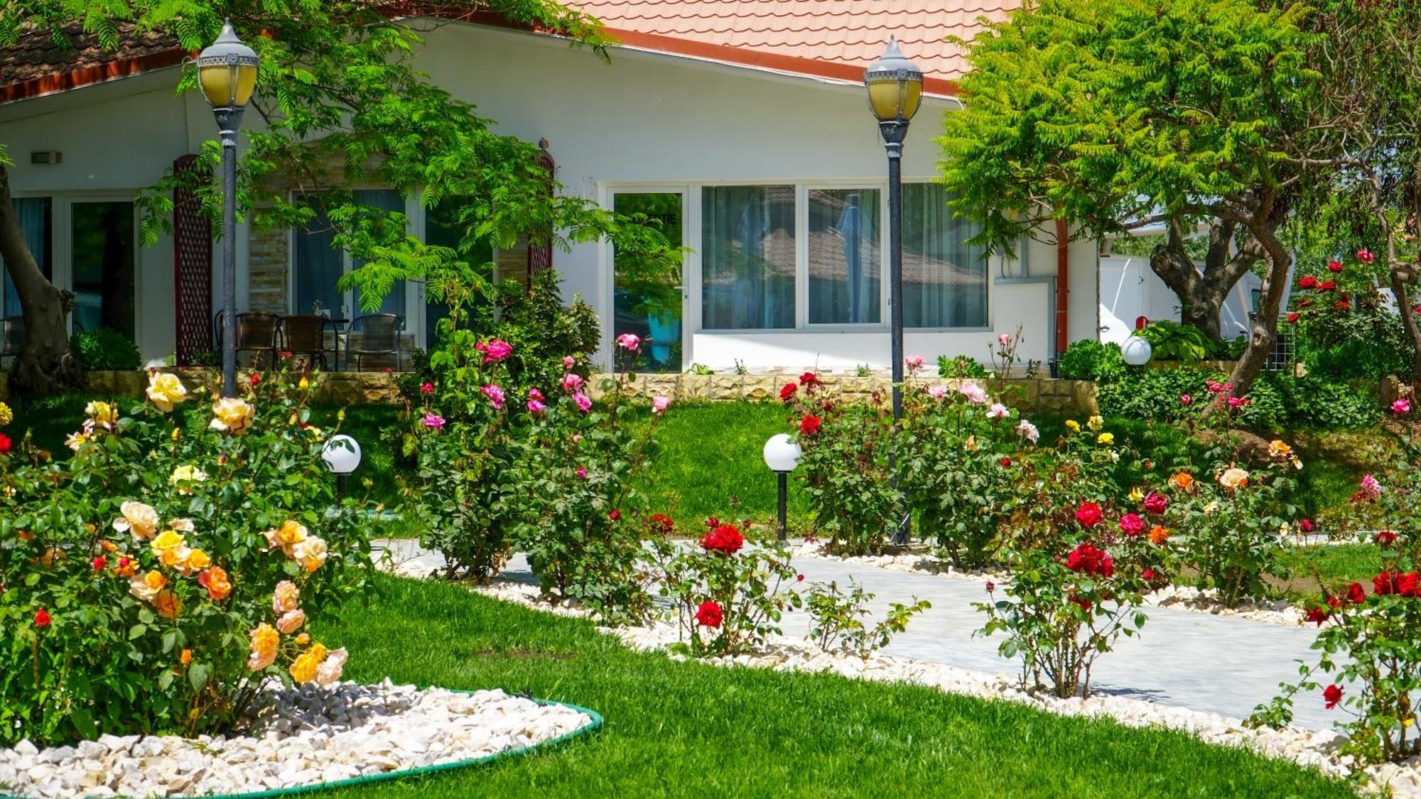 Nufaru Steaua Apelor Family Resort מראה חיצוני תמונה